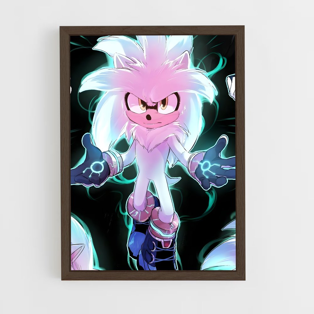 Poster Silver sonic (vue 5)